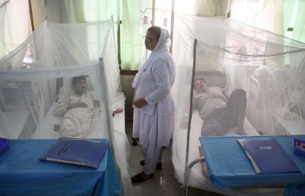 Punjab reports 533 suspected patients of dengue fever