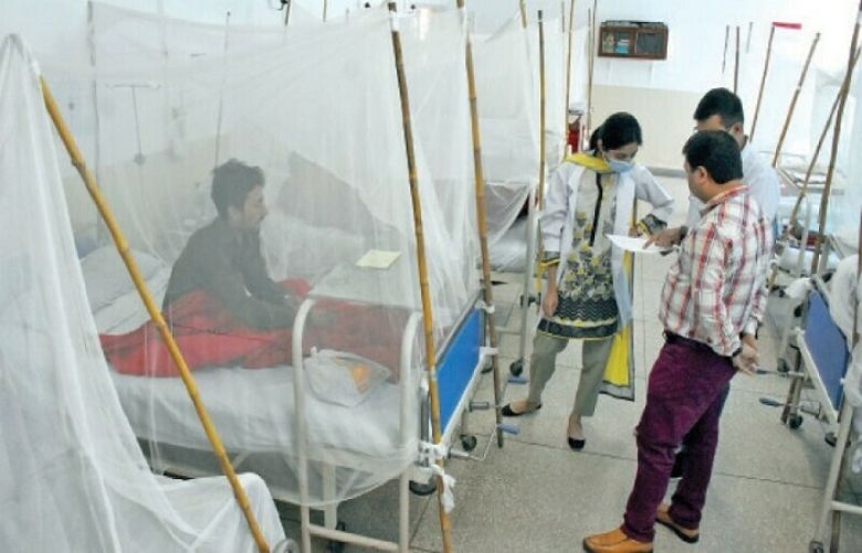 Dengue cases surge in Punjab