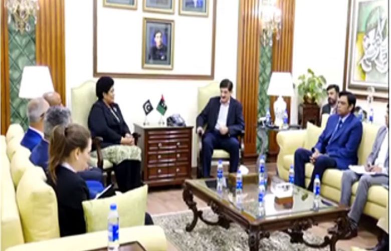 A 7-member delegation of the United Nations Safety and Security Department led by Unaisi Vuniwaqa called on Sindh Chief Minister Syed Murad Ali Shah in Karachi