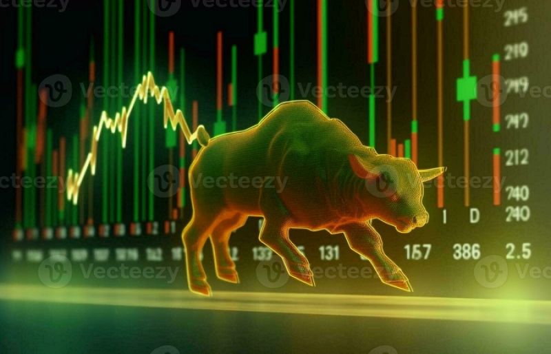 Stock market experiences strong bullish trend amid budget announcement – SUCH TV