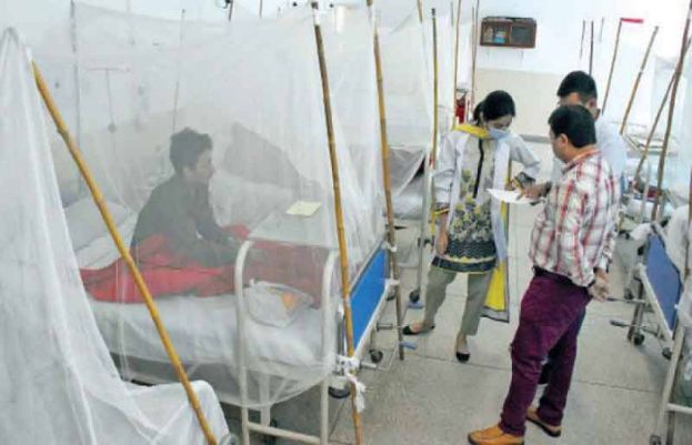KP registers 40 dengue cases in one week