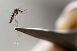 Zika virus presence confirmed in Pakistan