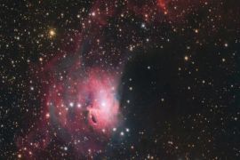 Telescope spots 'koi fish' in ocean of Gum 3 nebula