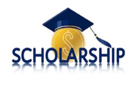 2024 Wellington Scholarship Program in New Zealand | Fully Funded