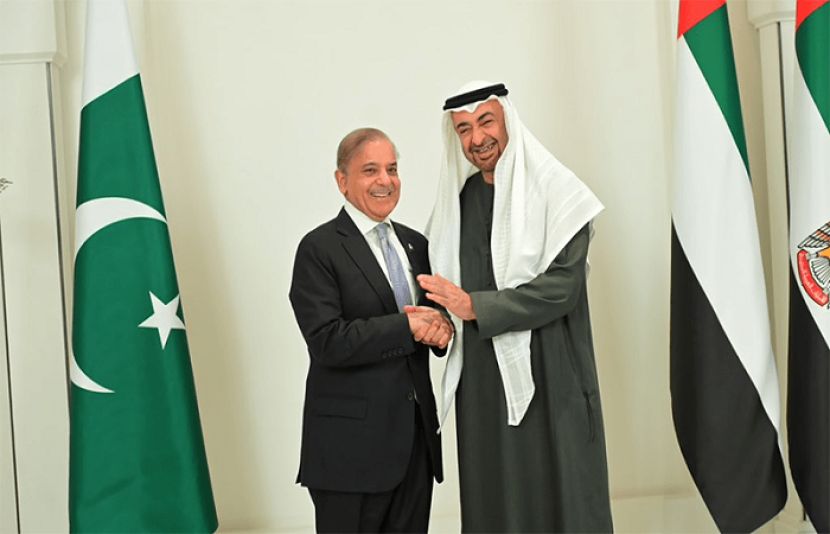 وزیرِ اعظم شہباز شریف متحدہ عرب امارات کے صدر صدر شیخ محمد بن زید النہیان سے ملاقات کر رہے ہیں